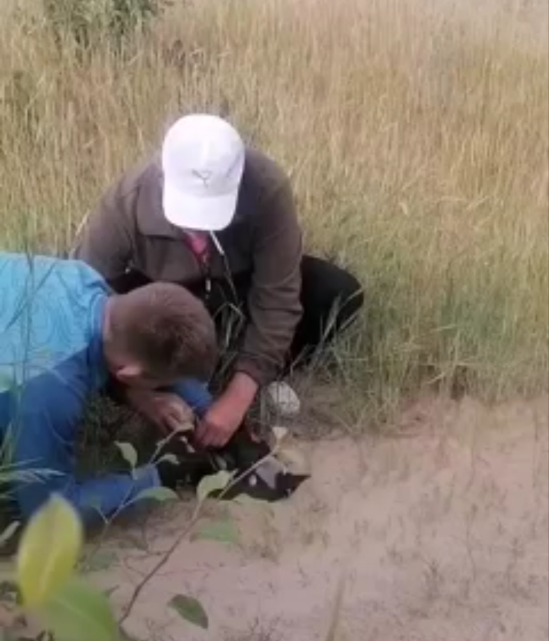 ������