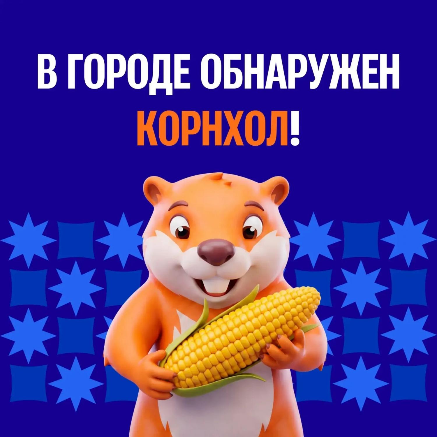 �����