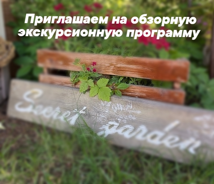 ������