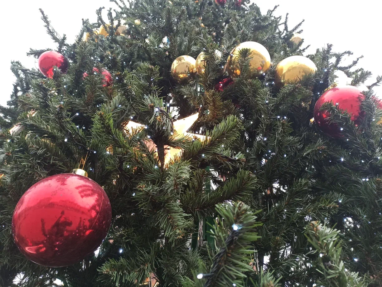 ������