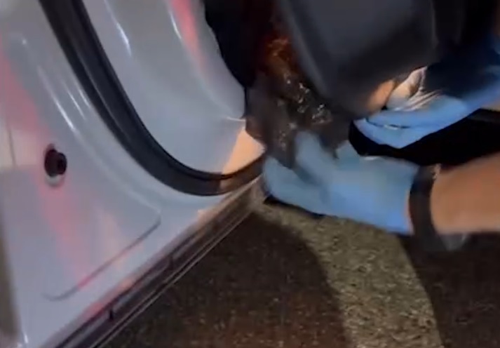 ������������