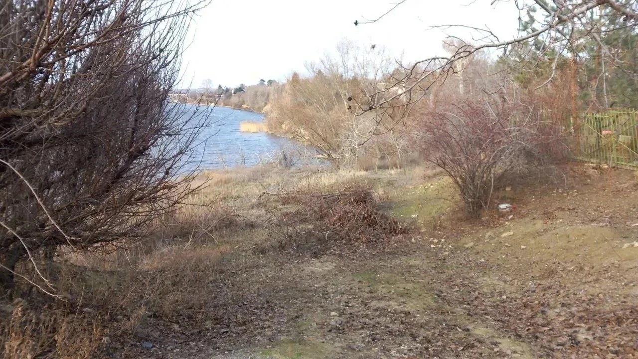 ������
