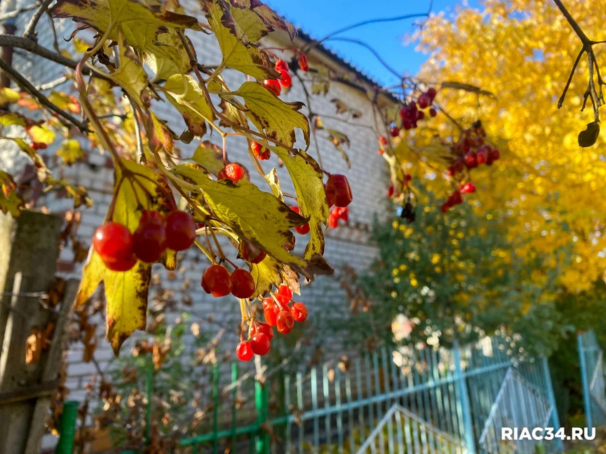 ������