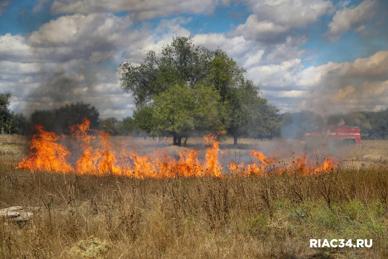 Погода сегодня в сухой